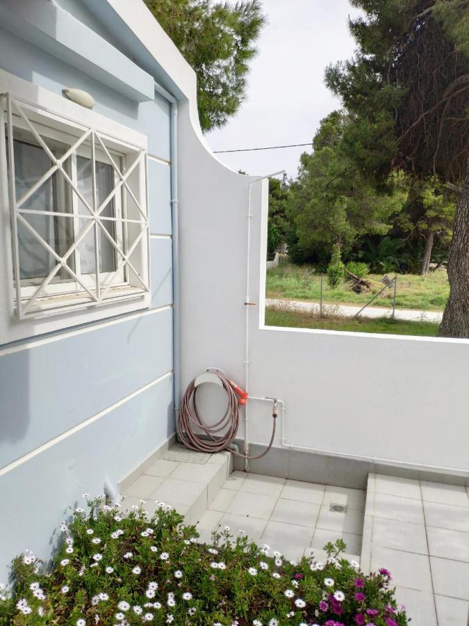 アルテミダ Alykes House Near The Seaヴィラ エクステリア 写真